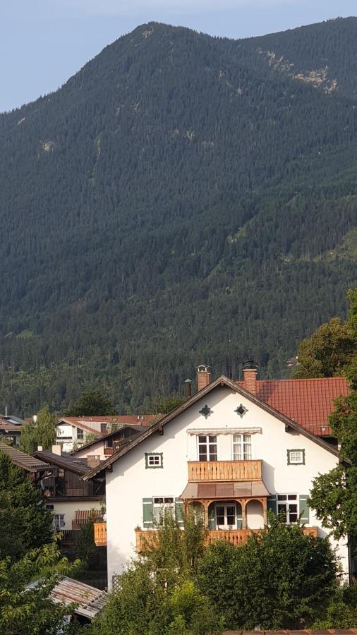 Bunter Hirsch Im Garmischer Zentrum *